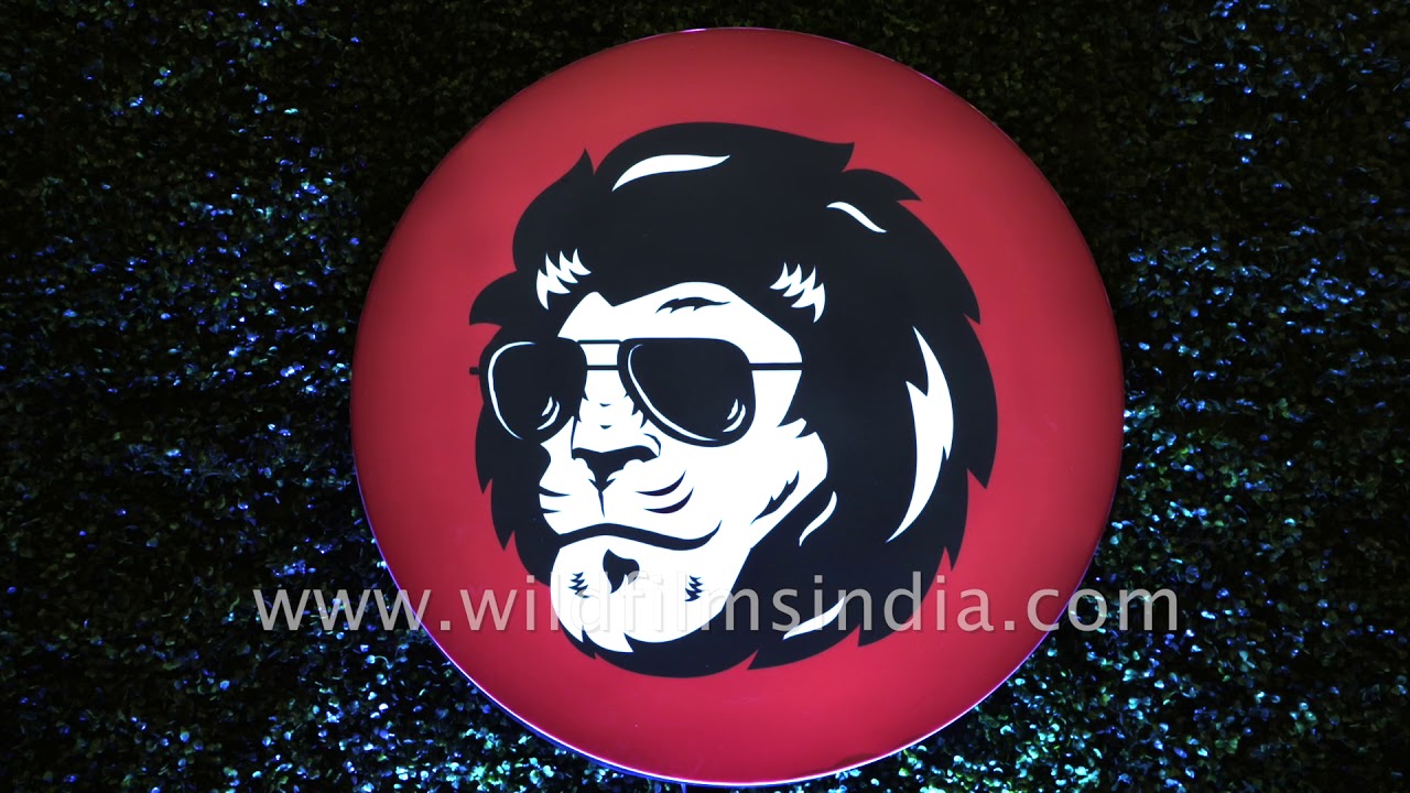 The Grub Fest 2018 powered by eazydiner at JLN Stadium