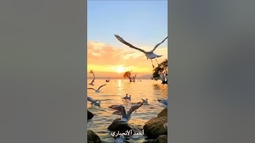 تلاوة مباركة من سورة مريم. القاريء عمار العبيدي