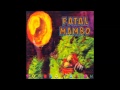 Fatal mambo  rumbagitation