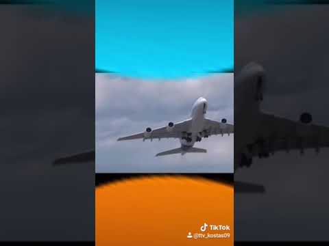 Βίντεο: Πουλί και αεροπλάνα