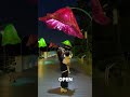 These Japanese Street Lights Open Like Flowers When You Walk By! 🌂✨