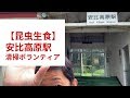 【虫バイキング】安比高原駅で清掃ボランティア