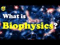 Biophysics Introduction Quiz