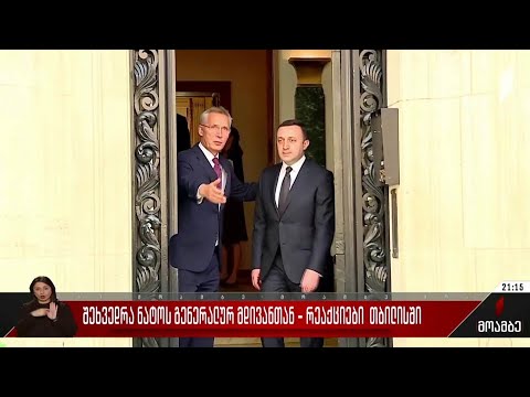 შეხვედრა ნატოს გენერალურ მდივანთან - რეაქციები თბილისში