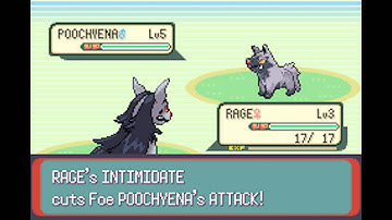 Pokemon Emerald RANDOMIZER NUZLOCKE: Part 3 "Rage!"