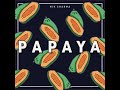 Papaya  nik sharma visualiser