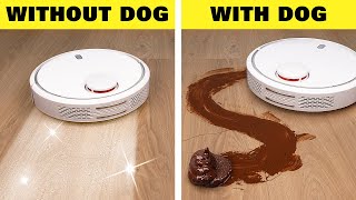 Life With Dog vs Without Dog