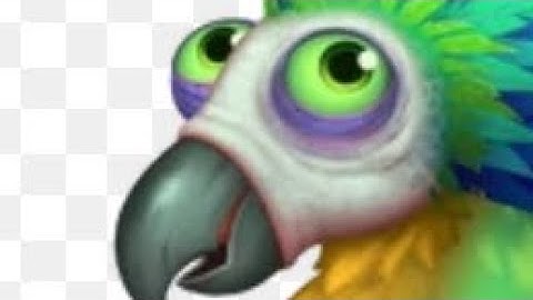 How to composer Mimic on Cave Island