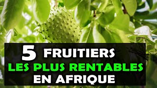 AGRICULTURE: Voici les 5 arbres fruitiers les plus rentables à cultiver en Afrique [Fruits]