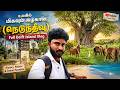 Sri Lanka - Delft Island (Neduntheevu) | நெடுந்தீவு  | தமிழர்கள் வாழும் தனி தீவு | Full Vlog
