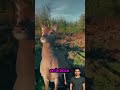 Ciervo silvestre farmea aura delante de cazador #lifehacks #ideas #usa