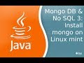 Mongo &amp; NoSql 3: Установка mongo db на Linux mint