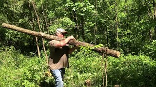 Making a few fence post!! #farm #chainsaw