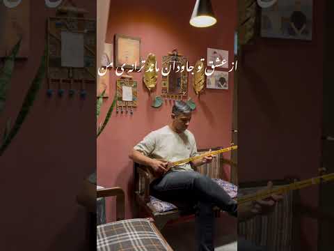 سه تار نوازی هایده هنر نوازنده