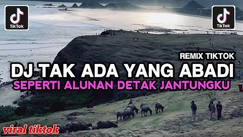 DJ SEPERTI ALUNAN DETAK JANTUNGKU || TAK ADA YANG ABADI REMIX COVER VIRAL TIKTOK YANG KALIAN CARI