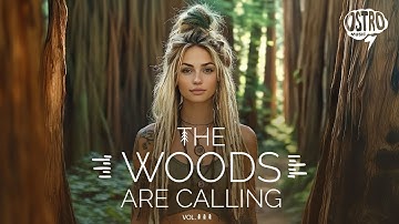 The Woods Are Calling Vol. 3 🌲 Soulful Indie Folk Playlist Escape into Deep Forest Silence