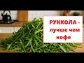 Что будет, если есть руколу каждый день?