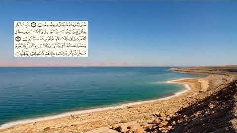 268 -page سعد الغامدي - -سورة النحل -Les abeilles (An-Nahl) 16