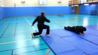Hapkido - Breakfalls