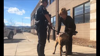 K9 Riggs gets an extra layer of protection