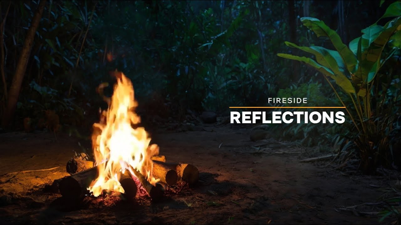 🔥 Cold Jungle Campfire Ambience | Crackling Fire & Forest Sounds for Relaxation