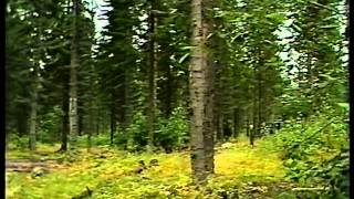 HÄGGLUNDS film om Västernorrlands Regemente 1986