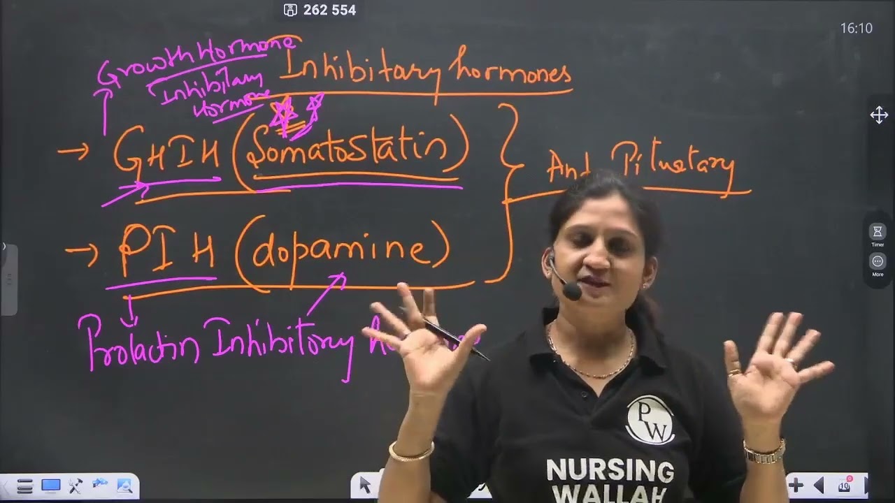 3   Endocrine System 03   Pituitary Gland    Recorded