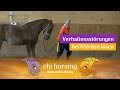 Verhaltensstörungen bei Pferden lösen- Pferdepsychologie, Körpersprache und Pferdesprache