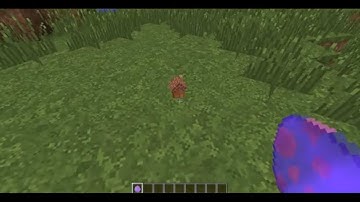 SMALLEST MINECRAFT (MICROSCOPIC) HOUSE With just one command!!!