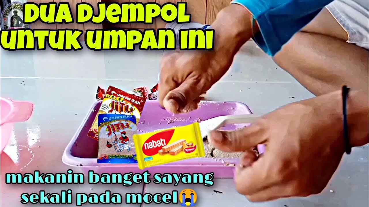 DUA Djempol buat umpan ini‼️makanin terus ikan sekilo 2/3 ekor umpan