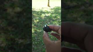 Check out SX29 Wireless Lavalier Microphone