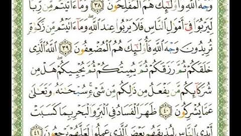 030 - سورة الروم - شيرزاد عبد الرحمن طاهر