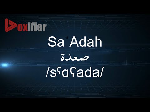      صعدة    