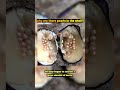 ✨🤑 Nature's BIZARRE Trick! Why Oysters Make These Gemstone Prisons!  😜 #shorts #pearl