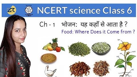 Food / food | NCERT Science Class 6 for CTET / DSSSB / UPTET / SUPTET / SSC / UPSC