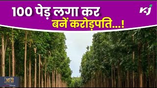 ये है पैसों वाला पेड़! इसकी खेती से कर सकते हैं करोड़ों की कमाई | Best Tree for Farming in India