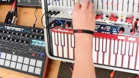Buchla Music Easel and DSI Tempest Duo Effected by Strymon Timeline and Meris Ottobitjr