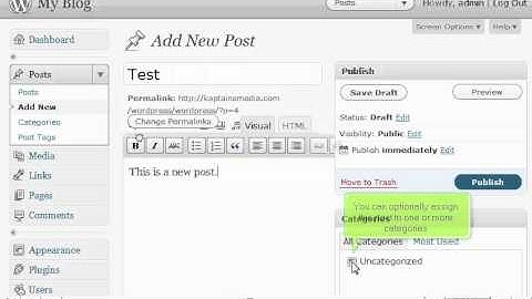 How to write a new post in WordPress 3 - WordPress 3  Tutorial