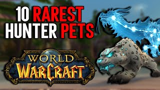 10 Rarest Obtainable Hunter Pets