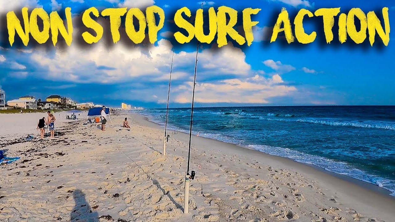 Surf Fishing Panama City Beach for POMPANO, REDFISH and SHARKS! YouTube