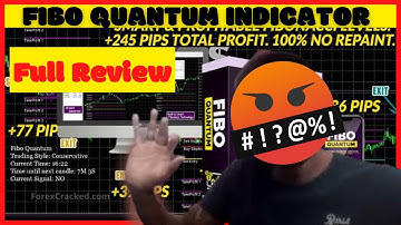 Fibo Quantum -Fibo Quantum Reviews - Fibo Quantum Indicator - How To Win With Fibo Quantum