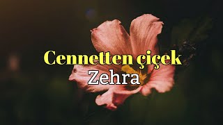 Cennetten çiçek || Zehra  وردة من الجنه مترجم عربي Resimi