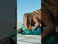 【👍👍👍】ポストスクスが人間を振り回していた/【👍👍👍】Postosuchus was swinging a human around. #jwe3