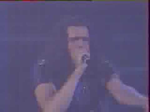 Image from EGMA - Never Gonna Lose Your Love