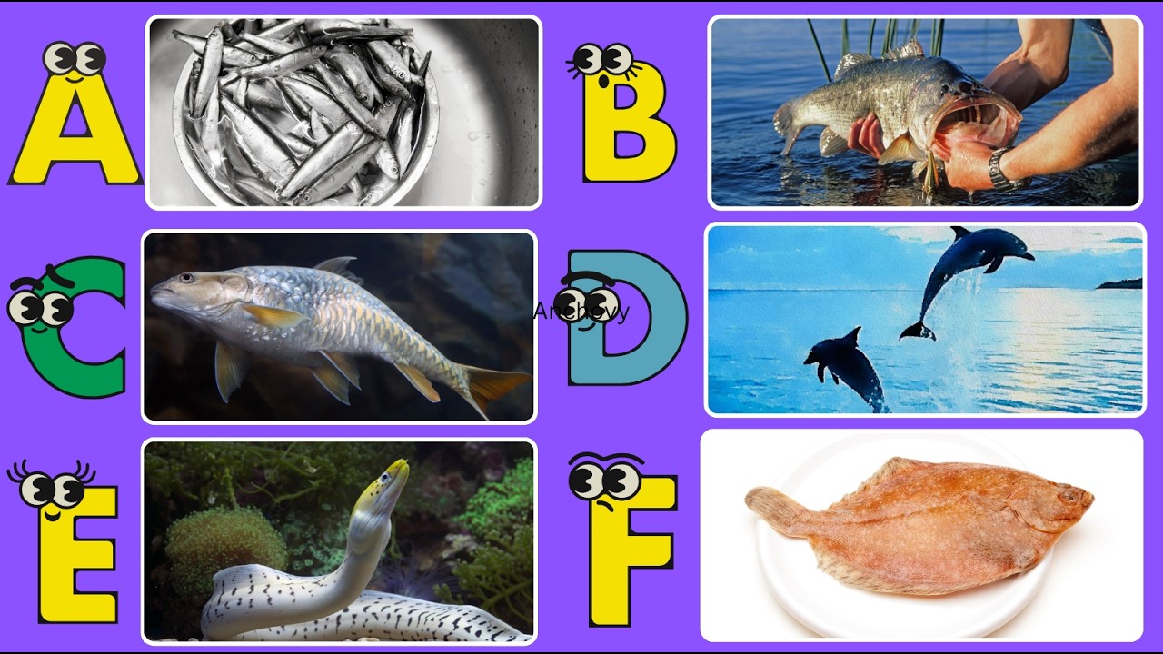 ABC Sea Animals Song for Kids | A to Z Fish & Ocean Creatures Alphabet ...