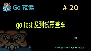 #20 Go testing  源码阅读 【 Go 夜读 】