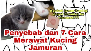 Penyebab dan 7 Cara Merawat Kucing Jamuran #story21 (Gembul Family)