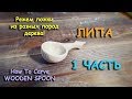 Вырезаем ложки из разных пород дерева / ЛИПА / Часть 1