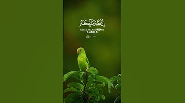 #قران_كريم #المصحف #صوت_جميل_رائع #راحة_نفسية #سورة_الاحزاب #راحة_نفسية