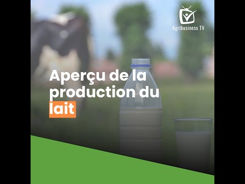 Aperçu de la